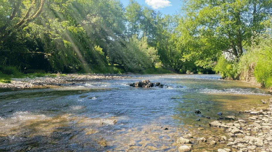 Vallée du Viroin
